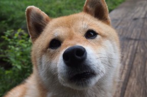 爱游戏娱乐平台-冬奥集训营队员体能提升显著，北京冬奥会期间综合训练