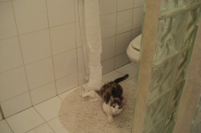 -五大联赛战术执行难度是否因视频分析而降低，五大联赛的赛制