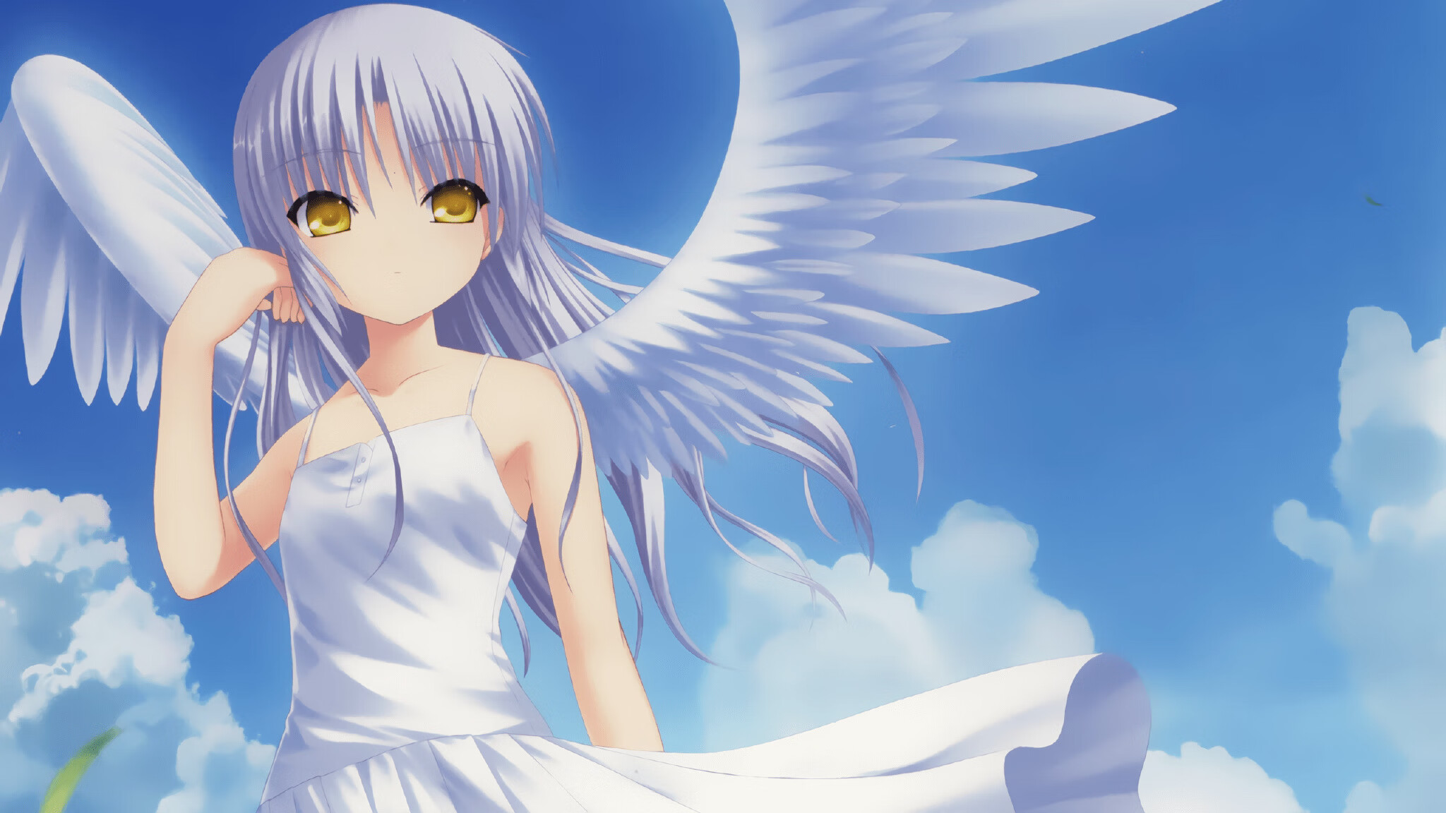 WTT挑战赛成都站国乒再获佳绩，乒乓成都公开赛