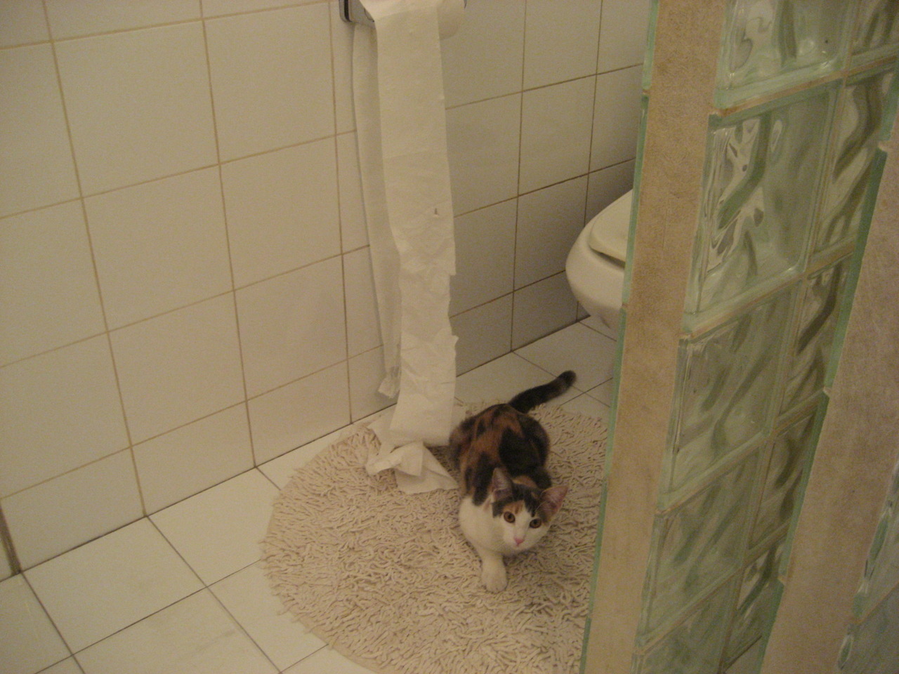 五大联赛战术执行难度是否因视频分析而降低，五大联赛的赛制