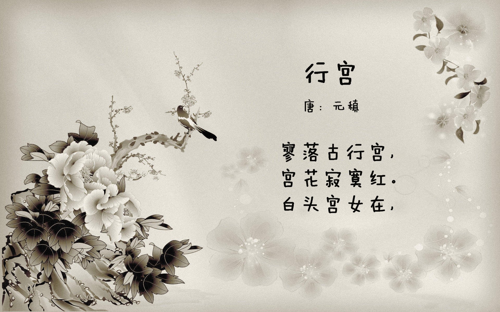 教练组将赴欧学习，引入现代理念，教练百科