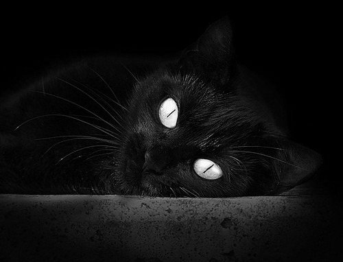 青少年赛事直播覆盖率极低，青少年各种比赛在哪里报名