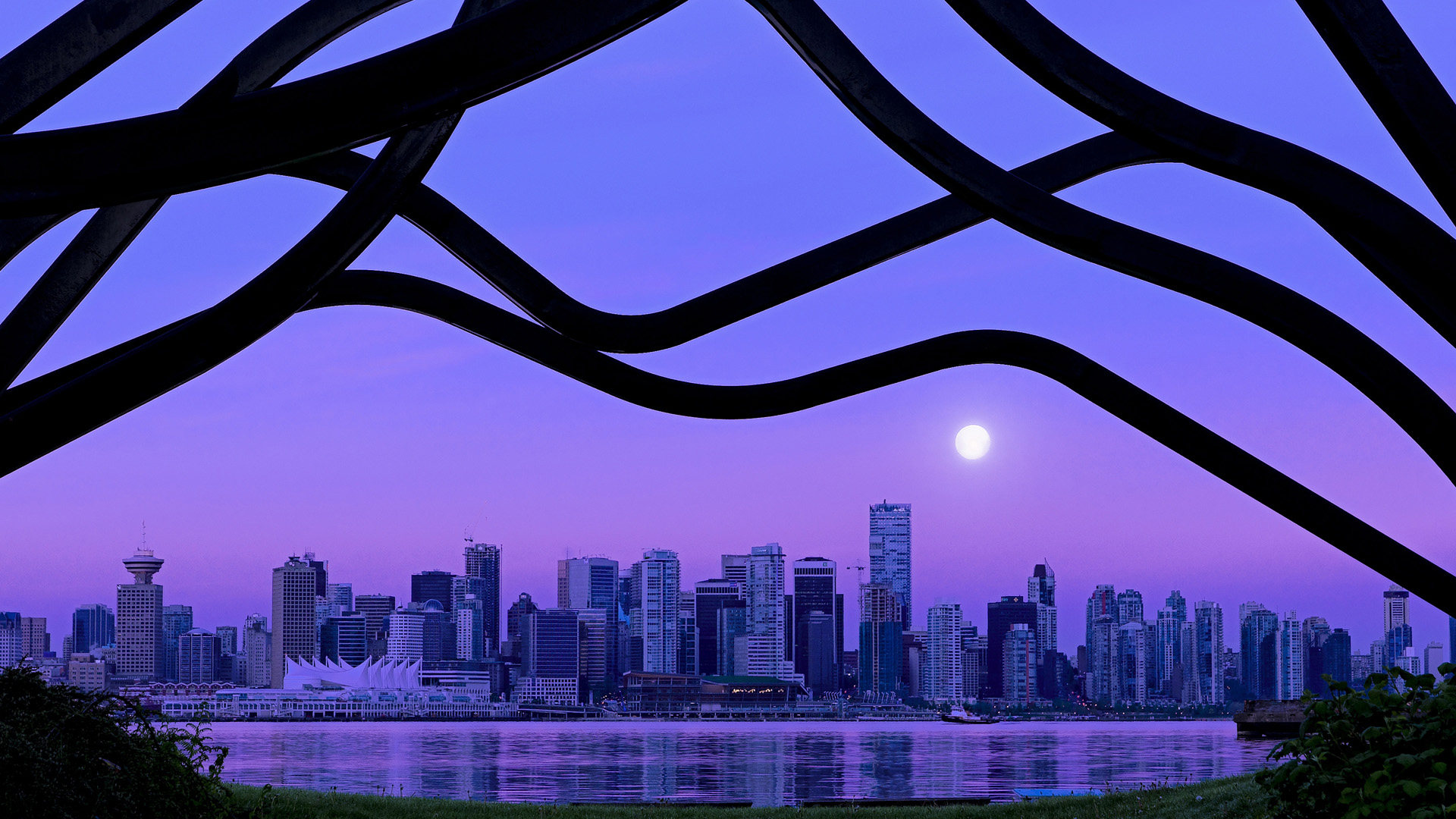 南非女将200米蝶泳刷新全国纪录，女子200米蝶泳决赛颁奖