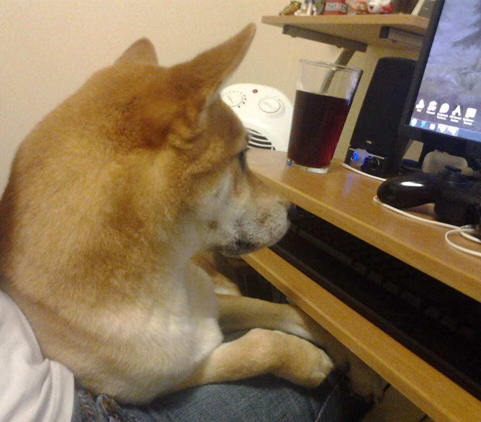 米兰双雄奋力拼搏,争夺意甲冠军战火升腾