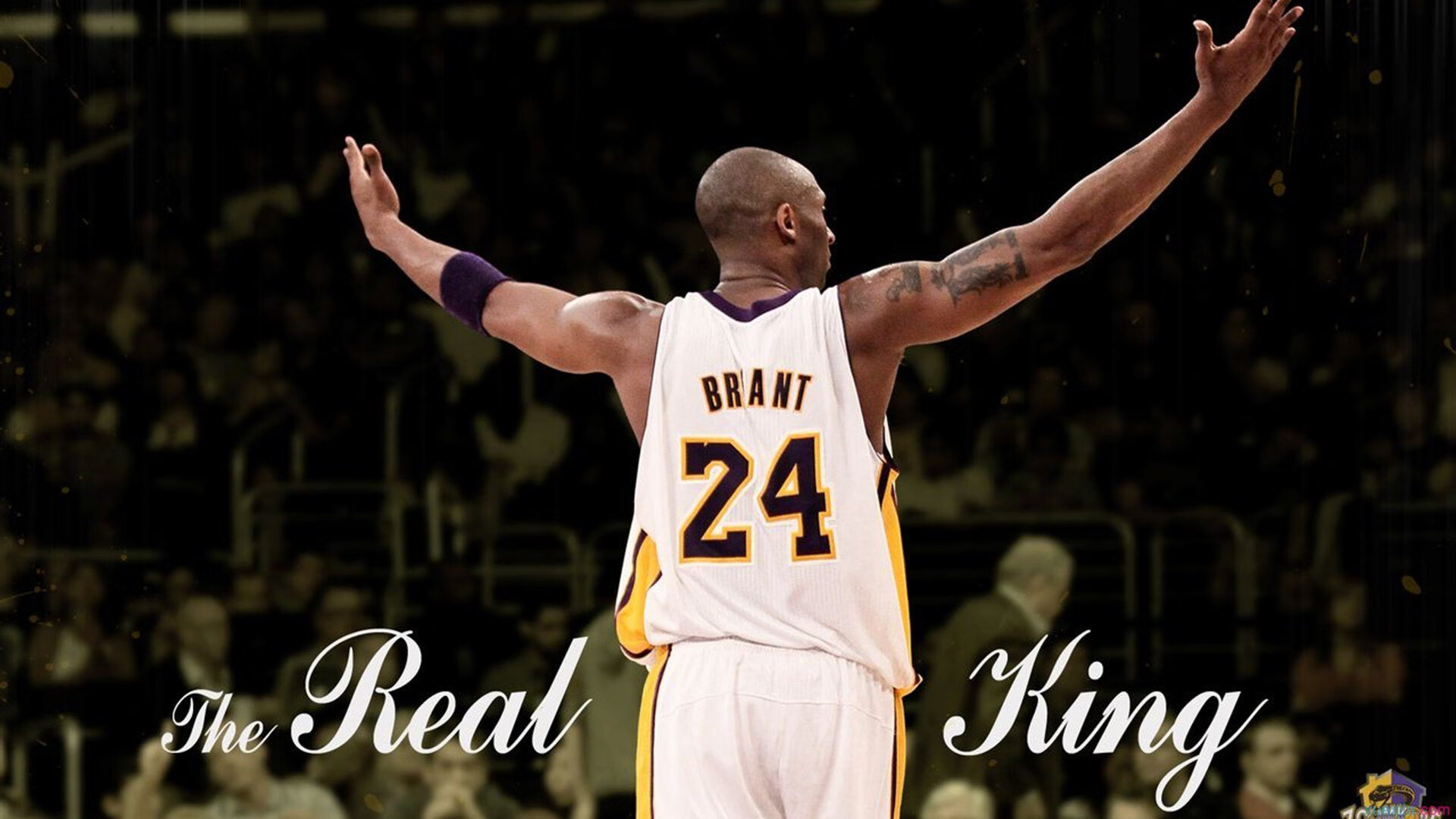 AYX GAME-“彼得森的非凡表现助南非羚羊队破纪录创佳绩”